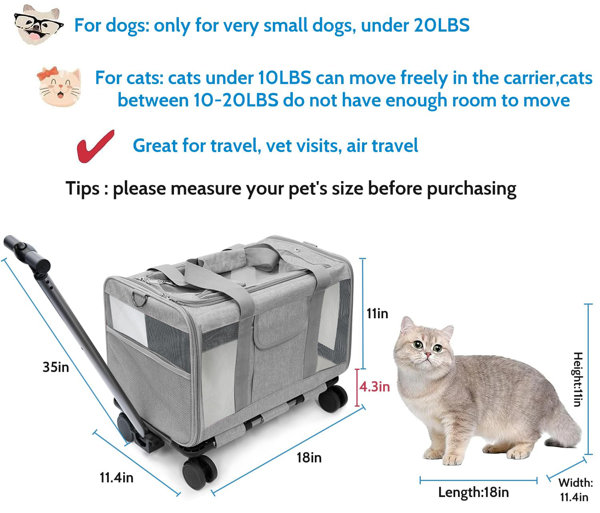 Wayfair 2024 cat carrier